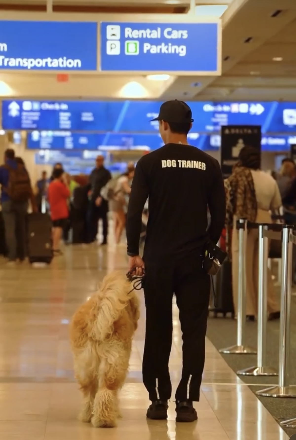 Dog trainer walking a service dog through an airport terminal during public access training in Orlando.